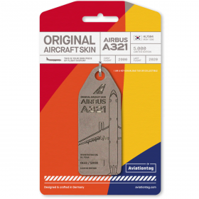Airbus A321 HL7594 keychain (Asiana Airlines) hl7594-stonelake - AeroStore Spain