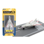 Avión F-14 Tomcat Runway24 RW110