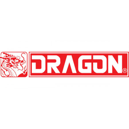 Dragon Wings